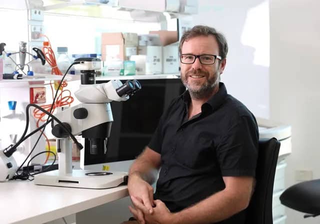 A scientist in a laboratory using a microscope at Craniofacial Australia research facility.